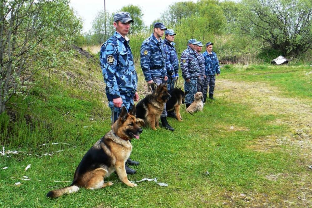 ЕДИНОВРЕМЕННОЕ ПОСОБИЕ ПО РОЖДЕНИЮ РЕБЕНКА В 2013 ГОДУ единовременное пособие по рождению ребенка в 2013 году: